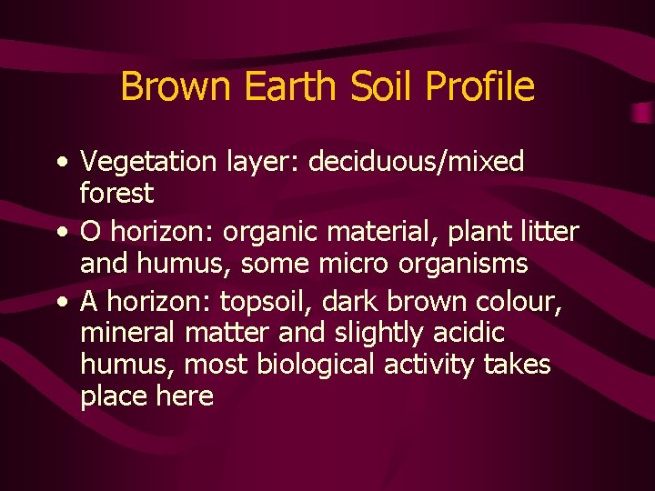 Brown Earth Soil Profile • Vegetation layer: deciduous/mixed forest • O horizon: organic material,