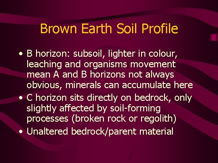 Brown Earth Soil Profile • B horizon: subsoil, lighter in colour, leaching and organisms