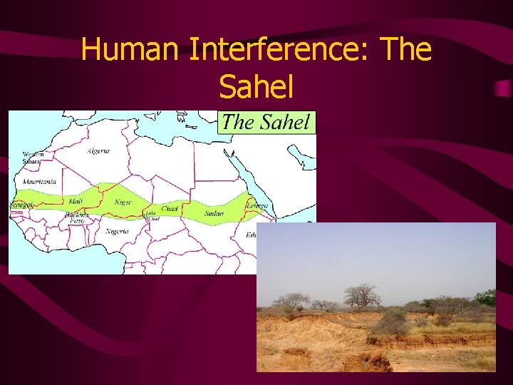 Human Interference: The Sahel 