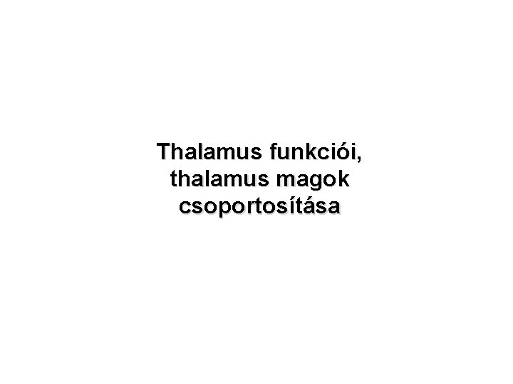 Thalamus funkciói, thalamus magok csoportosítása 