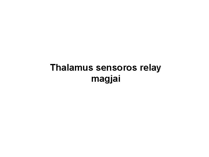 Thalamus sensoros relay magjai 