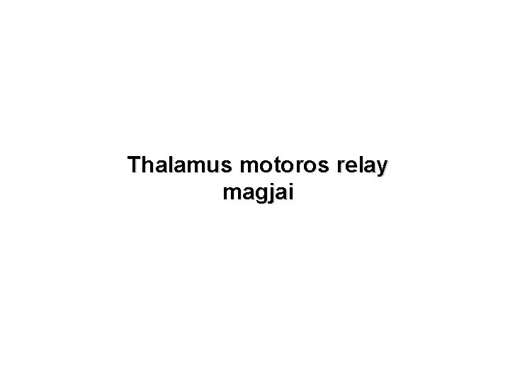 Thalamus motoros relay magjai 