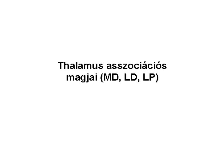 Thalamus asszociációs magjai (MD, LP) 