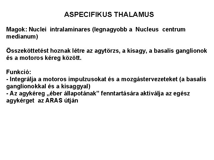 ASPECIFIKUS THALAMUS Magok: Nuclei intralaminares (legnagyobb a Nucleus centrum medianum) Összeköttetést hoznak létre az