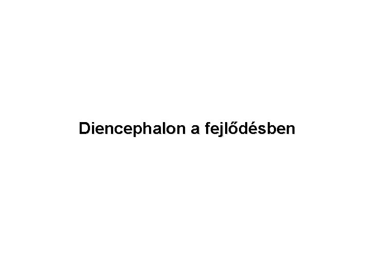 Diencephalon a fejlődésben 