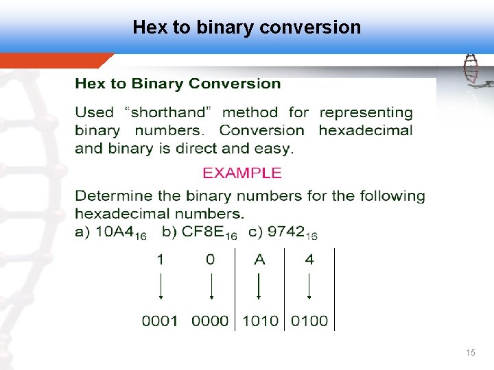 Hex to binary conversion 15 