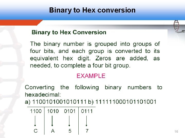 Binary to Hex conversion 16 