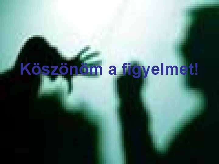 Köszönöm a figyelmet! 