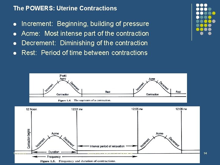 The POWERS: Uterine Contractions l l Increment: Beginning, building of pressure Acme: Most intense
