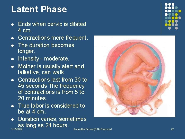 Latent Phase l l l l Ends when cervix is dilated 4 cm. Contractions