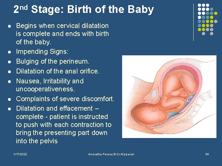 2 nd Stage: Birth of the Baby l l l l Begins when cervical