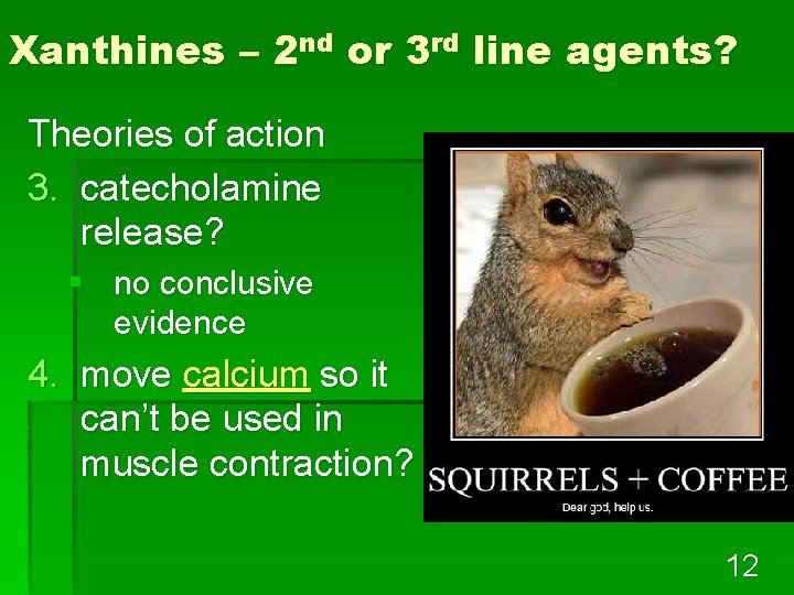 Xanthines – 2 nd or 3 rd line agents? Theories of action 3. catecholamine