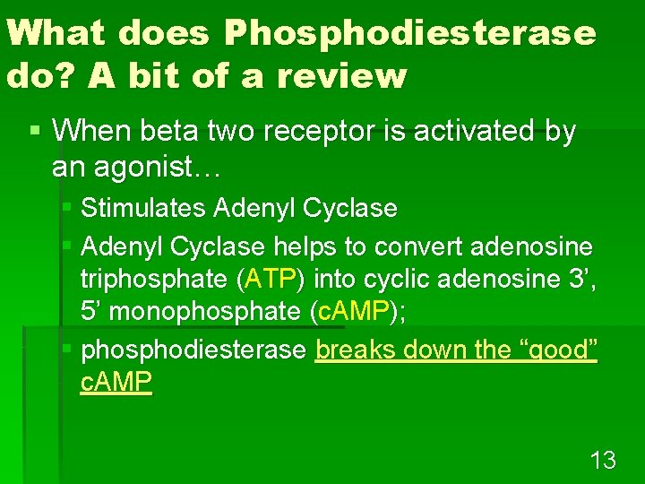 What does Phosphodiesterase do? A bit of a review § When beta two receptor