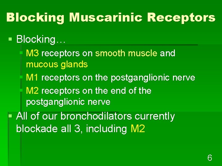 Blocking Muscarinic Receptors § Blocking… § M 3 receptors on smooth muscle and mucous
