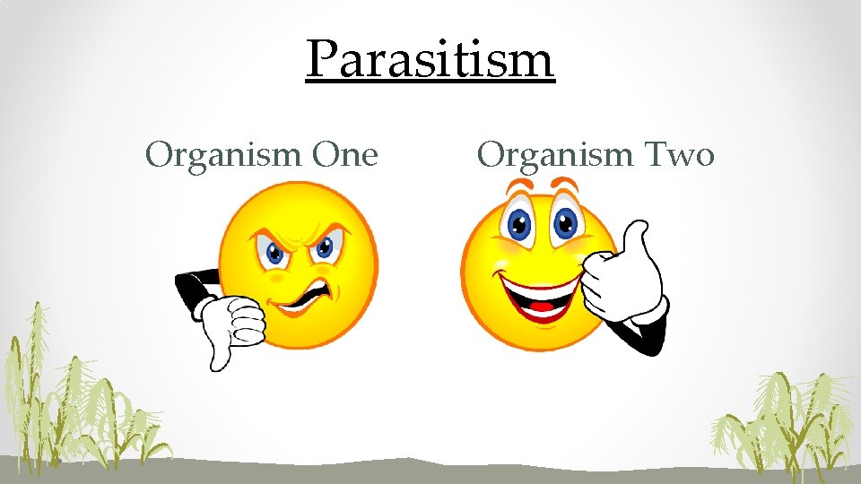Parasitism Organism One Organism Two 