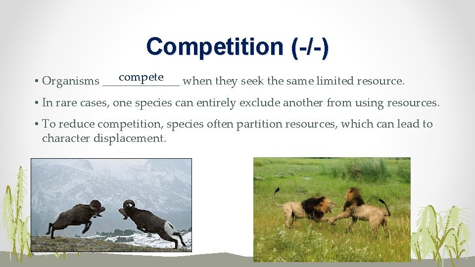 Competition (-/-) compete • Organisms _______ when they seek the same limited resource. •