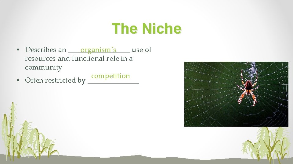 The Niche • Describes an _________ organism’s use of resources and functional role in