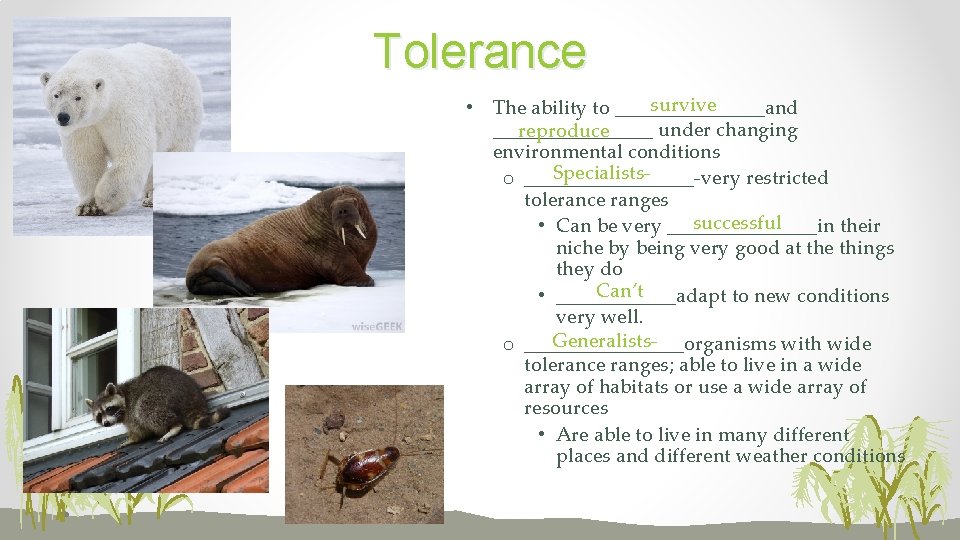 Tolerance survive • The ability to ________and ________ under changing reproduce environmental conditions Specialistso