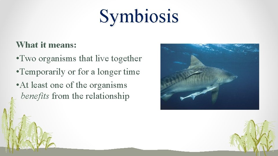 Symbiosis What it means: • Two organisms that live together • Temporarily or for