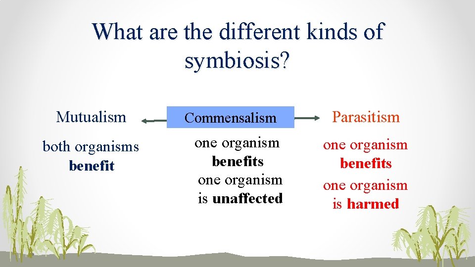 What are the different kinds of symbiosis? Mutualism both organisms benefit Commensalism one organism