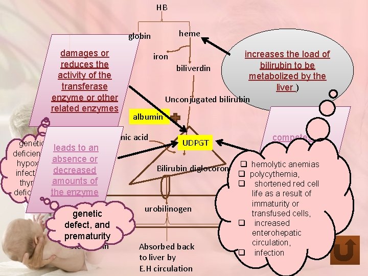 HB heme globin damages or reduces the activity of the transferase enzyme or other