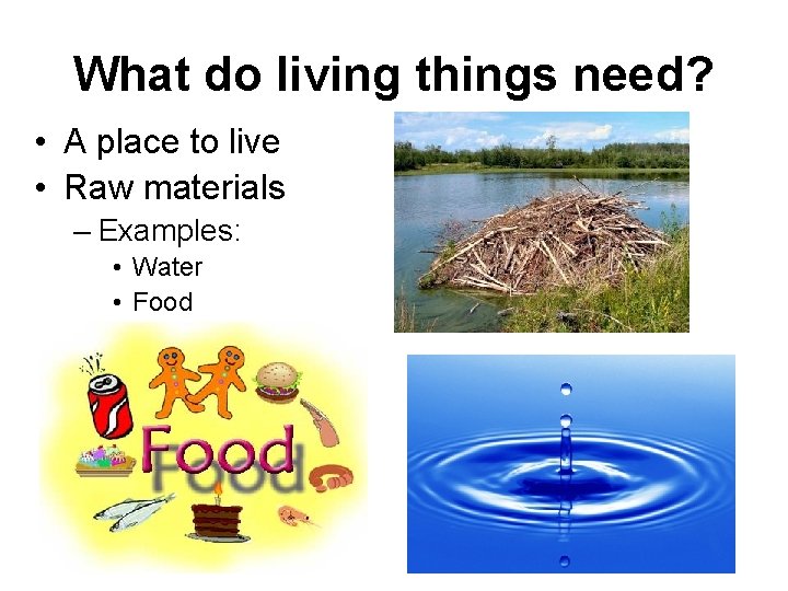 What do living things need? • A place to live • Raw materials –