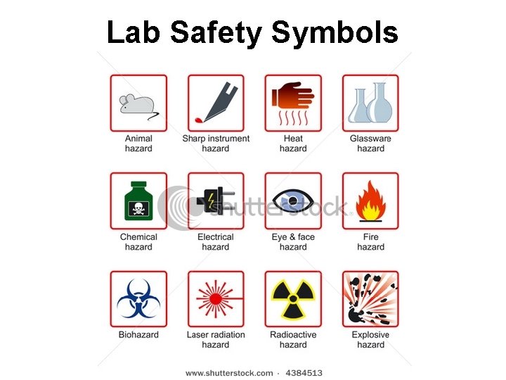 Lab Safety Symbols 