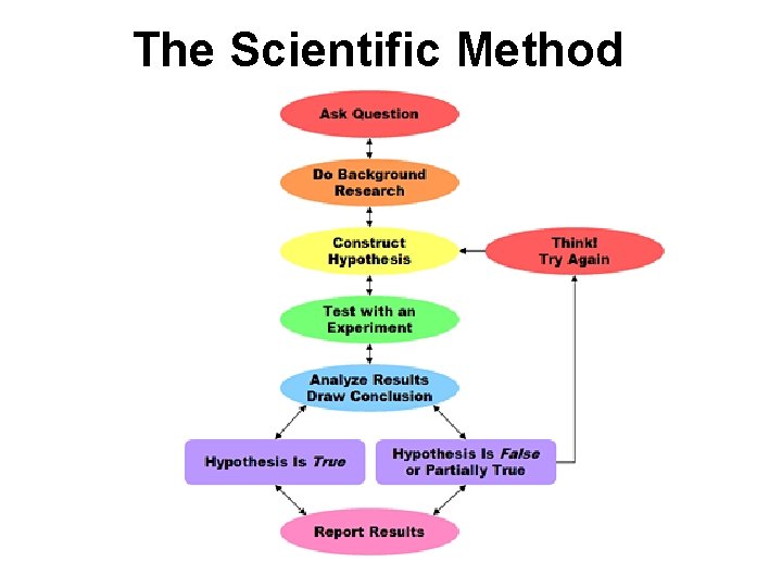 The Scientific Method 