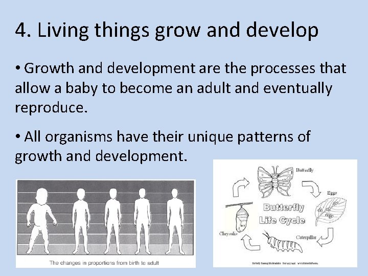 4. Living things grow and develop • Growth and development are the processes that