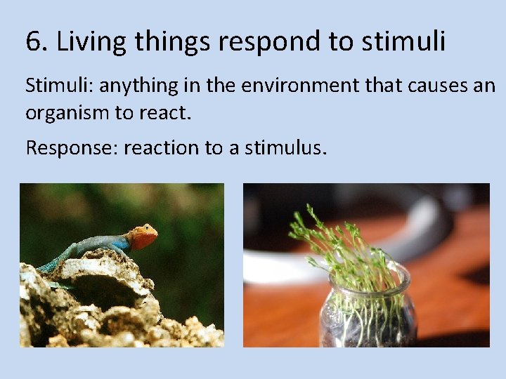 6. Living things respond to stimuli Stimuli: anything in the environment that causes an