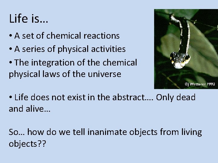 Life is… • A set of chemical reactions • A series of physical activities