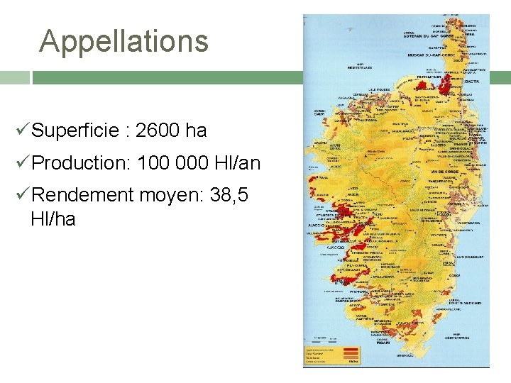 Appellations Superficie : 2600 ha Production: 100 000 Hl/an Rendement moyen: 38, 5 Hl/ha