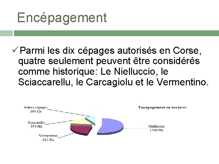 Encépagement Parmi les dix cépages autorisés en Corse, quatre seulement peuvent être considérés comme