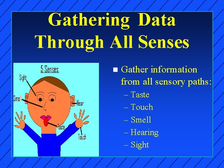 Gathering Data Through All Senses n Gather information from all sensory paths: – Taste