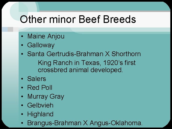 Other minor Beef Breeds • Maine Anjou • Galloway • Santa Gertrudis-Brahman X Shorthorn