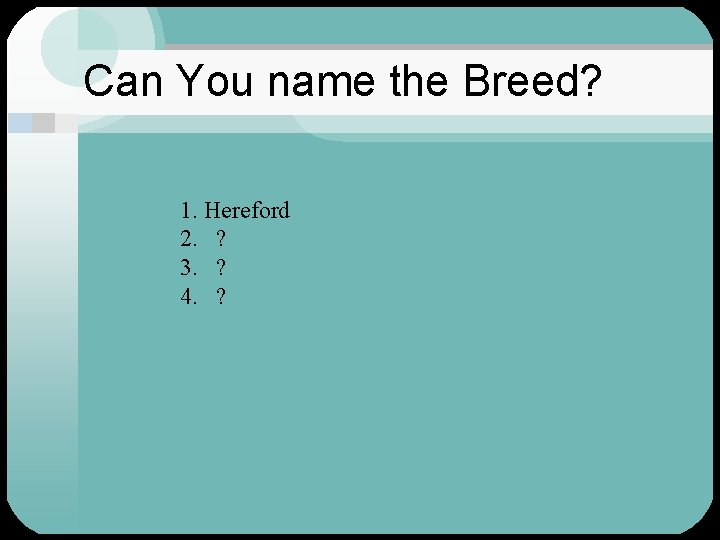 Can You name the Breed? 1. Hereford 2. ? 3. ? 4. ? 