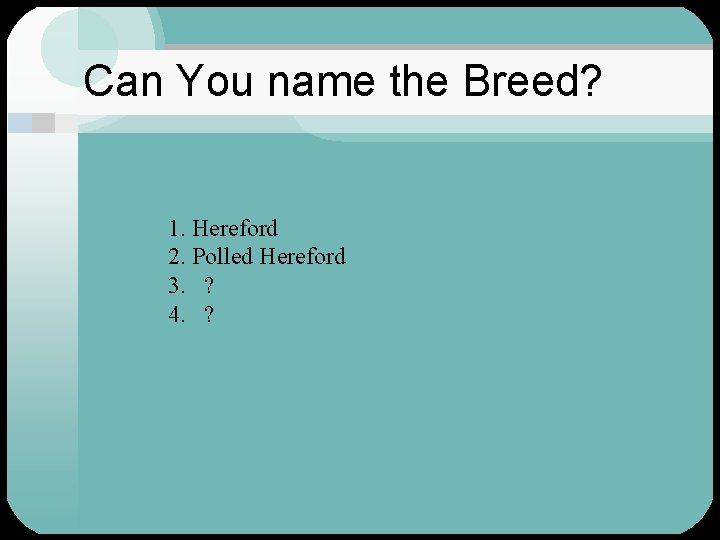 Can You name the Breed? 1. Hereford 2. Polled Hereford 3. ? 4. ?