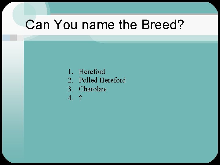 Can You name the Breed? 1. 2. 3. 4. Hereford Polled Hereford Charolais ?