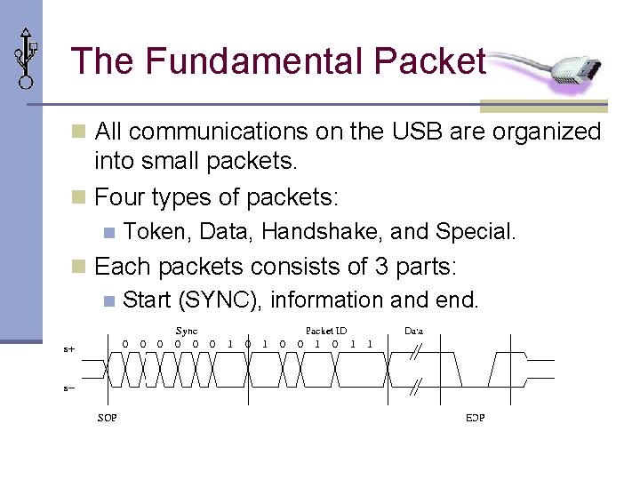 The Fundamental Packet n All communications on the USB are organized into small packets.