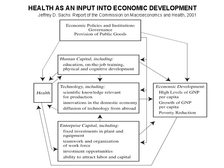 HEALTH AS AN INPUT INTO ECONOMIC DEVELOPMENT Jeffrey D. Sachs: Report of the Commission