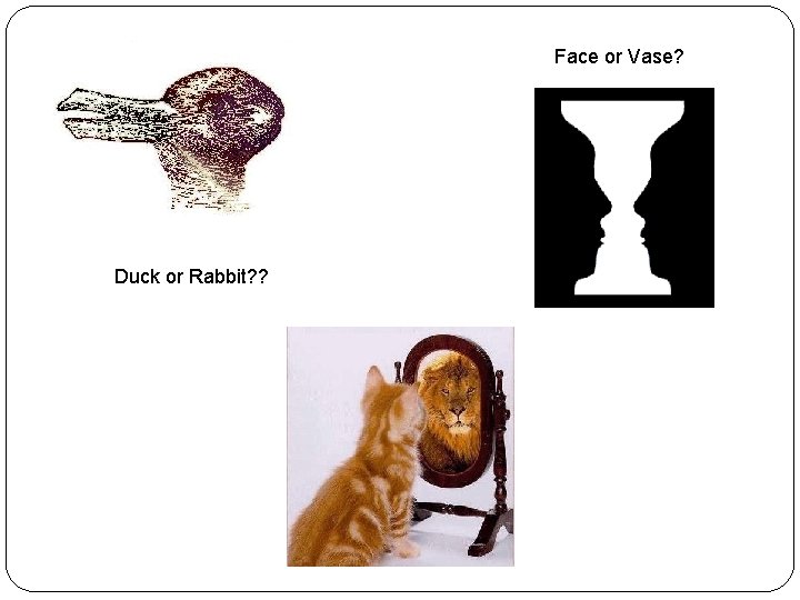 Face or Vase? Duck or Rabbit? ? 