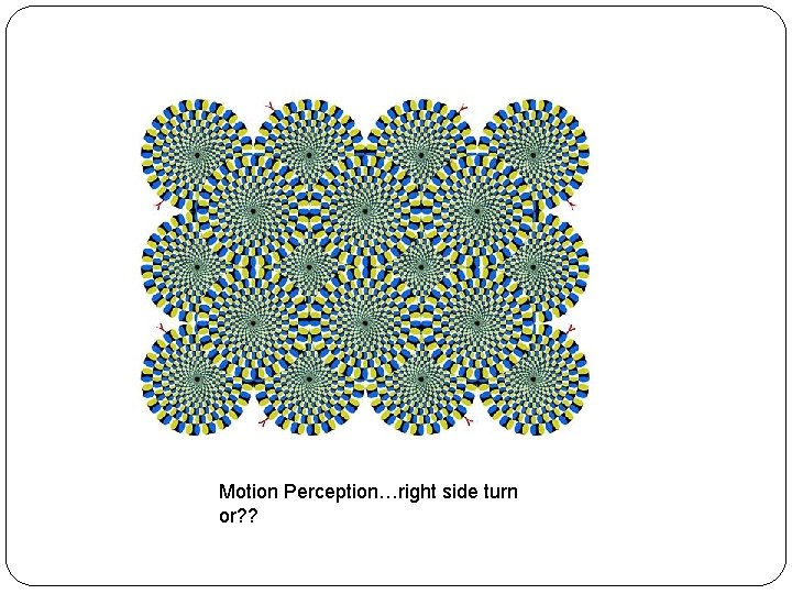 Motion Perception…right side turn or? ? 