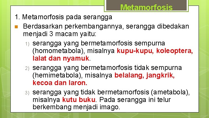 Metamorfosis 1. Metamorfosis pada serangga n Berdasarkan perkembangannya, serangga dibedakan menjadi 3 macam yaitu: