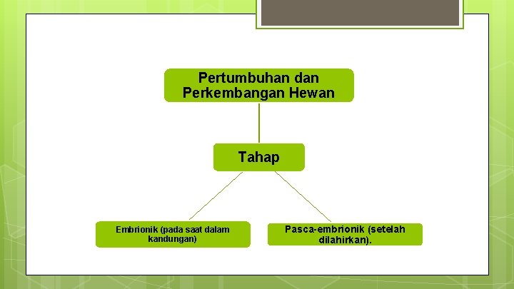 Pertumbuhan dan Perkembangan Hewan Tahap Embrionik (pada saat dalam kandungan) Pasca-embrionik (setelah dilahirkan). 