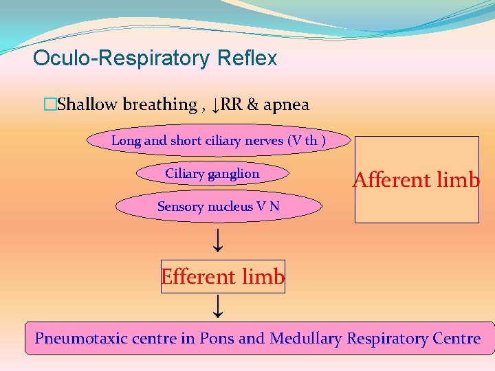 Oculo-Respiratory Reflex �Shallow breathing , ↓RR & apnea Long and short ciliary nerves (V