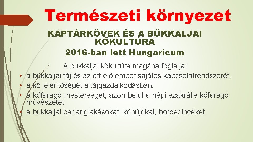 Természeti környezet KAPTÁRKÖVEK ÉS A BÜKKALJAI KŐKULTÚRA 2016 -ban lett Hungaricum • • A