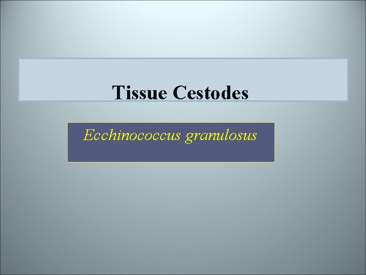 Tissue Cestodes Ecchinococcus granulosus 