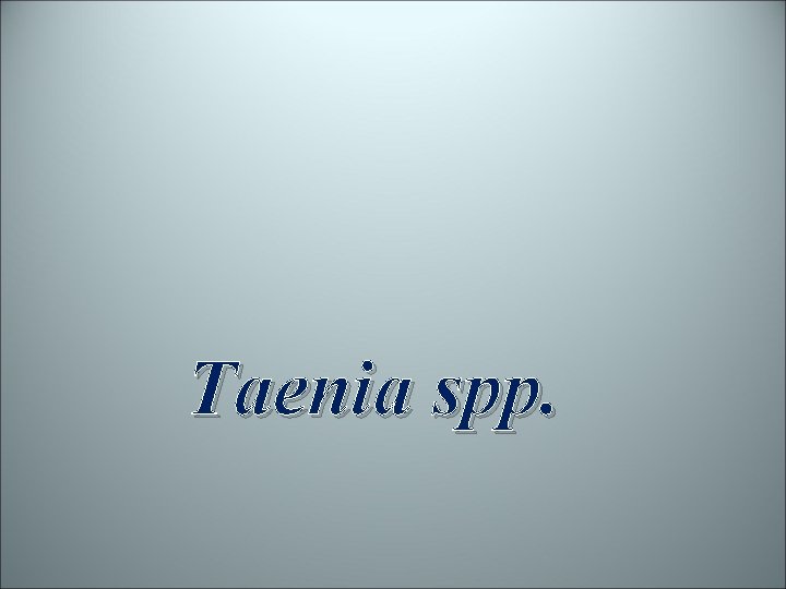 Taenia spp. 