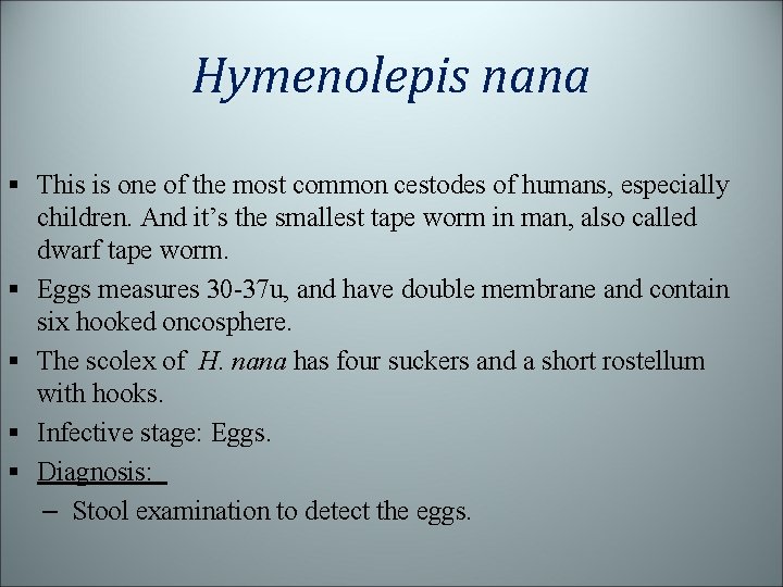 Hymenolepis nana § This is one of the most common cestodes of humans, especially