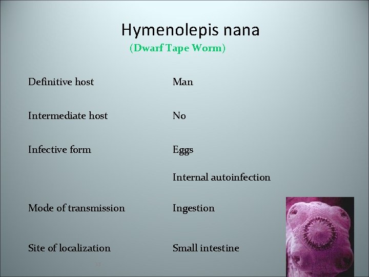 Hymenolepis nana (Dwarf Tape Worm) Definitive host Man Intermediate host No Infective form Eggs